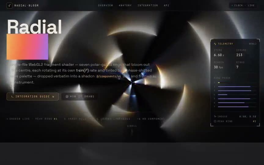 Frame from “Radial Shader: "Radial Bloom" — verbatim shadcn `components/ui` integration of the br” by @pulkitxm