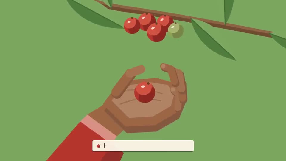 Frame from “Isometric Infographic — From Bean to Cup” by @lemomo-ai